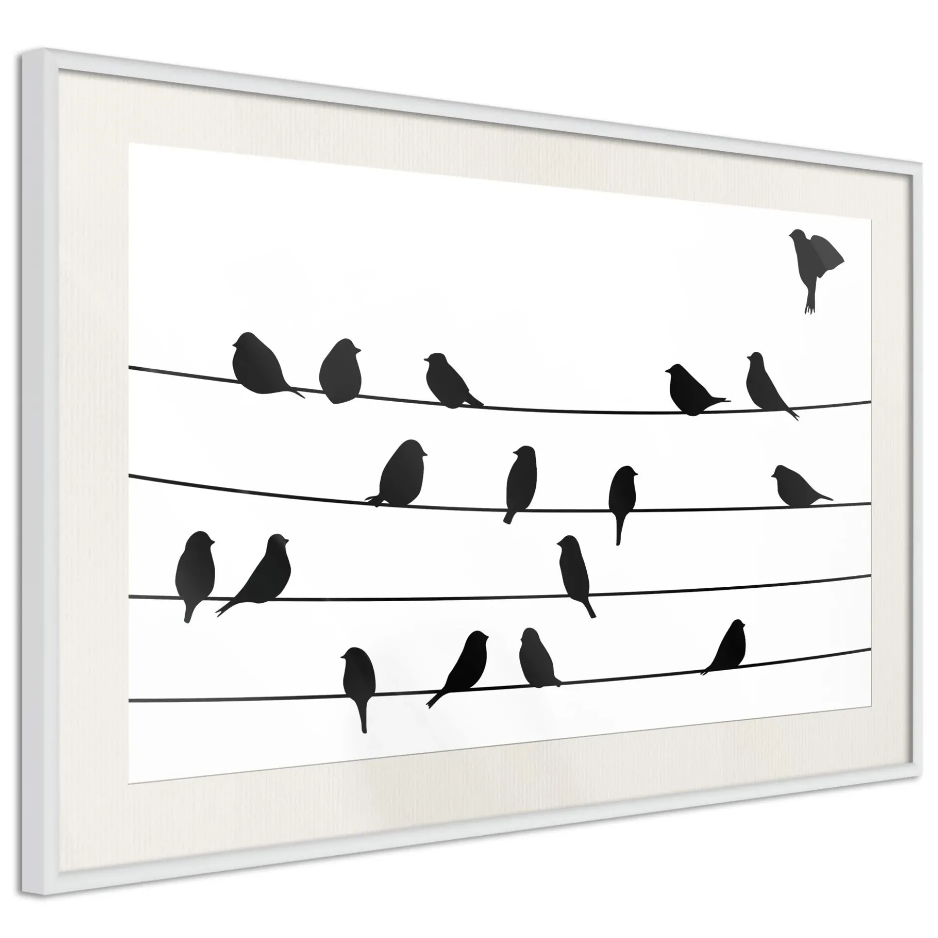 Poster 'Birds Council Meeting'