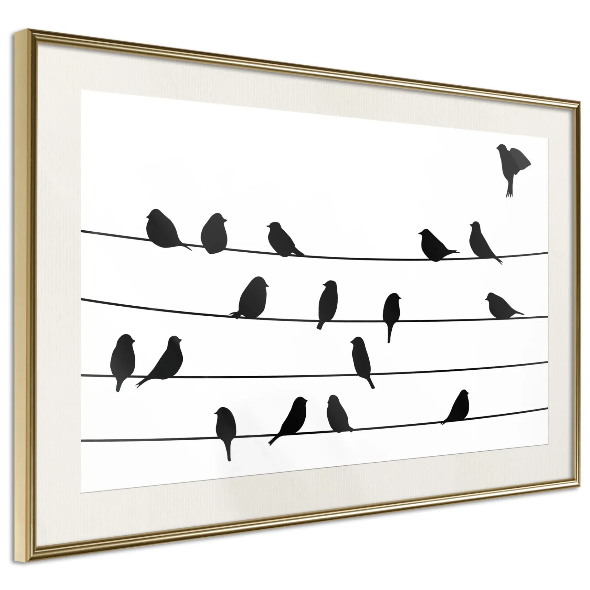 Poster 'Birds Council Meeting'