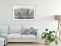Poster 'Black and White Herons'