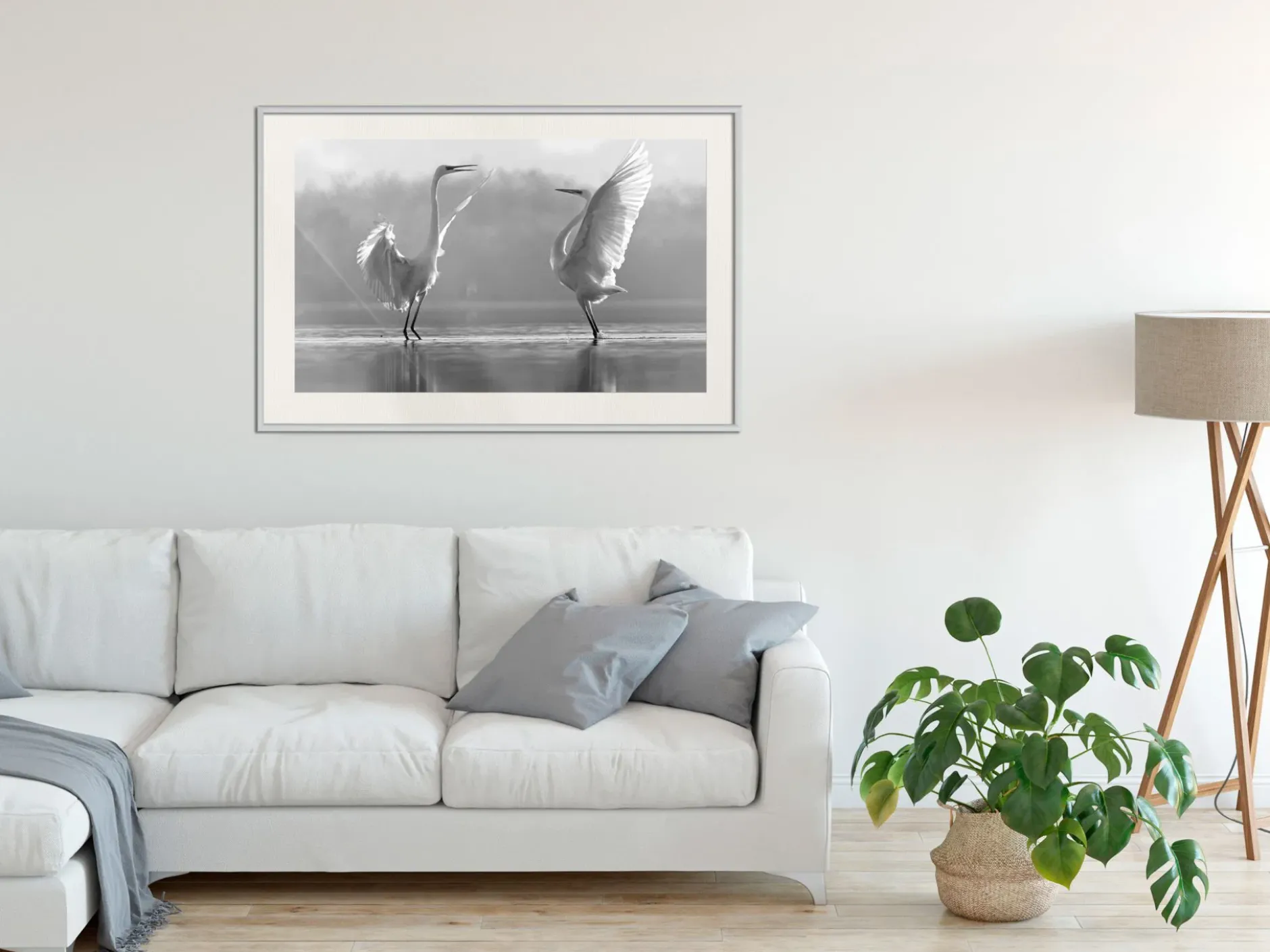 Poster 'Black and White Herons'