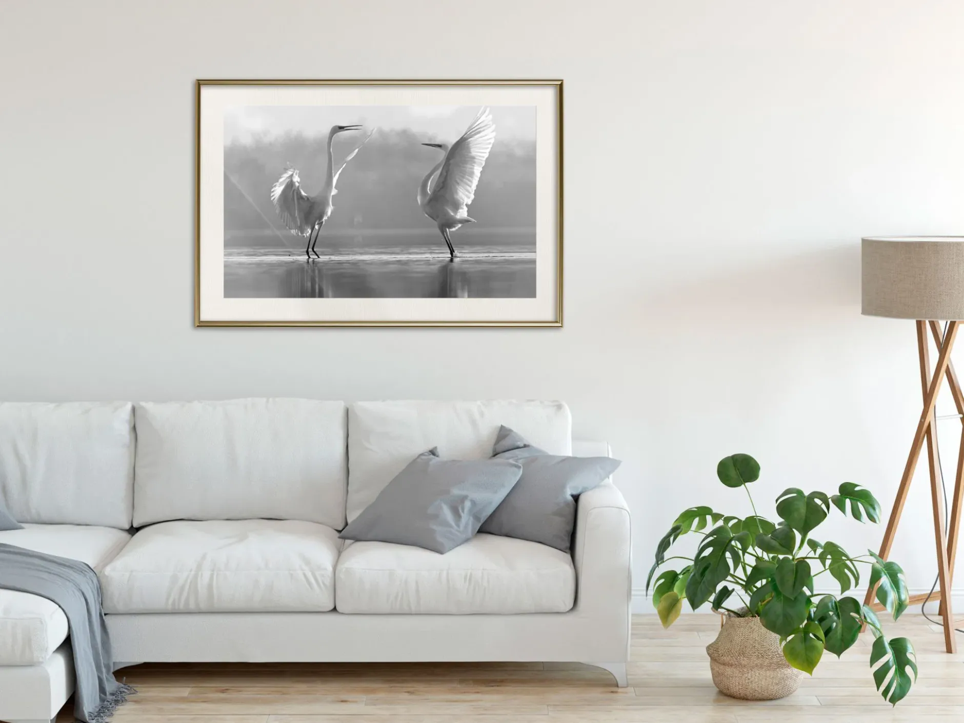 Poster 'Black and White Herons'