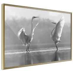 Poster 'Black and White Herons'