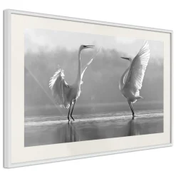 Poster 'Black and White Herons'