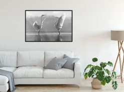 Poster 'Black and White Herons'