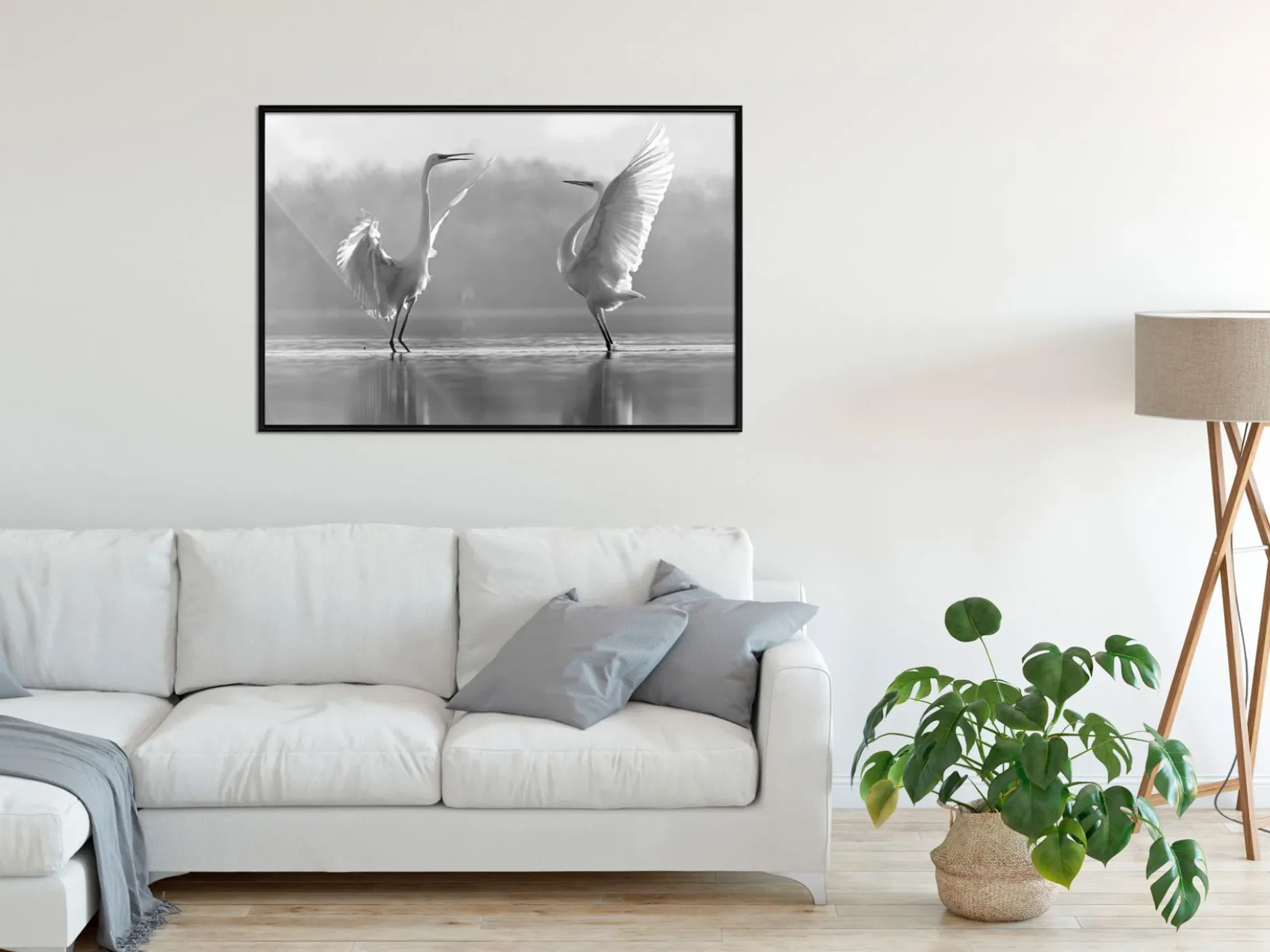 Poster 'Black and White Herons'