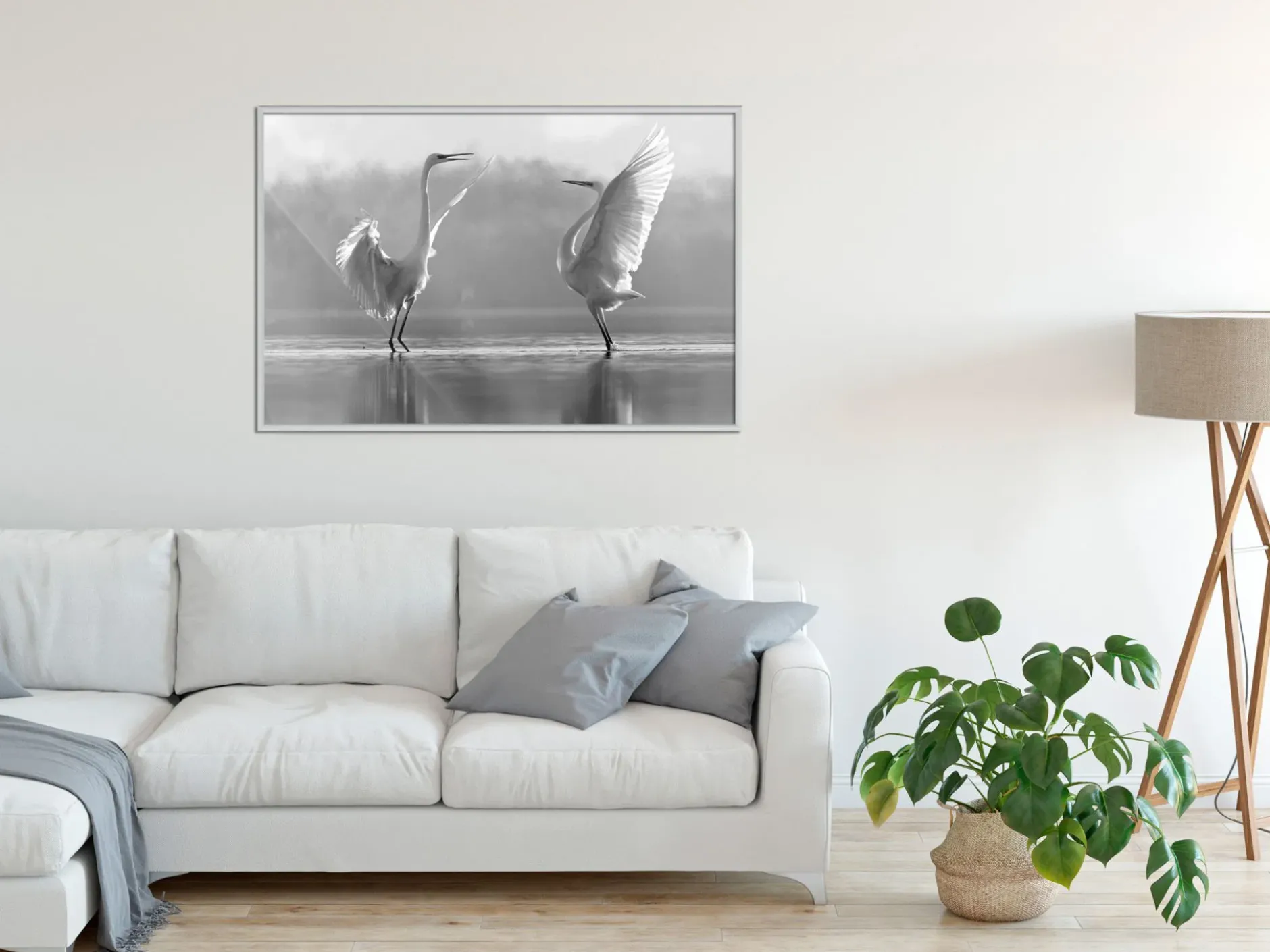 Poster 'Black and White Herons'