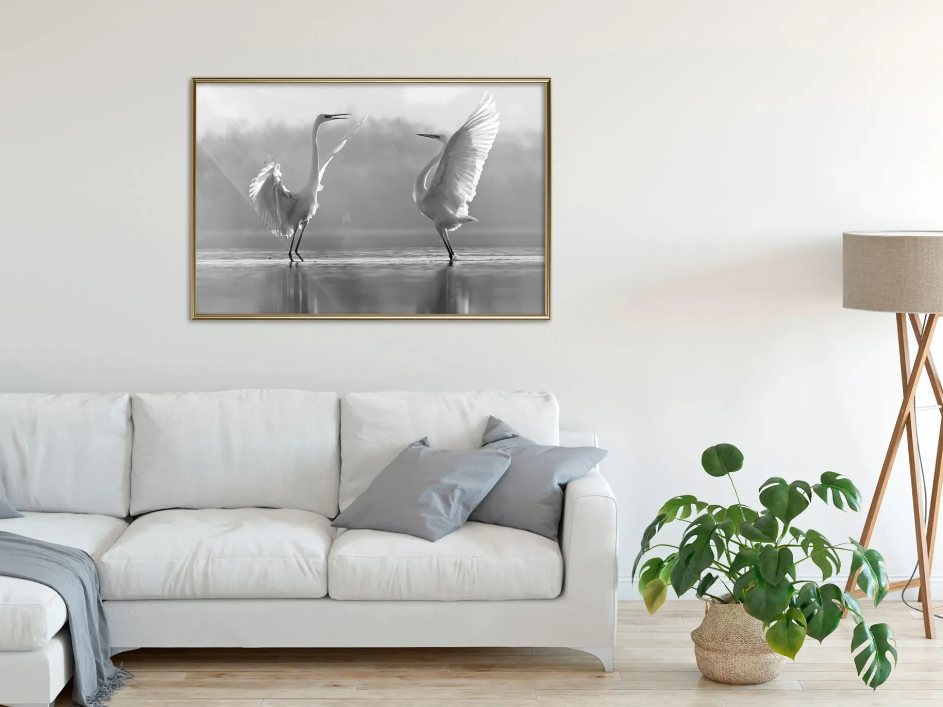 Poster 'Black and White Herons'