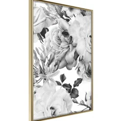 Poster 'Black and White Nature'