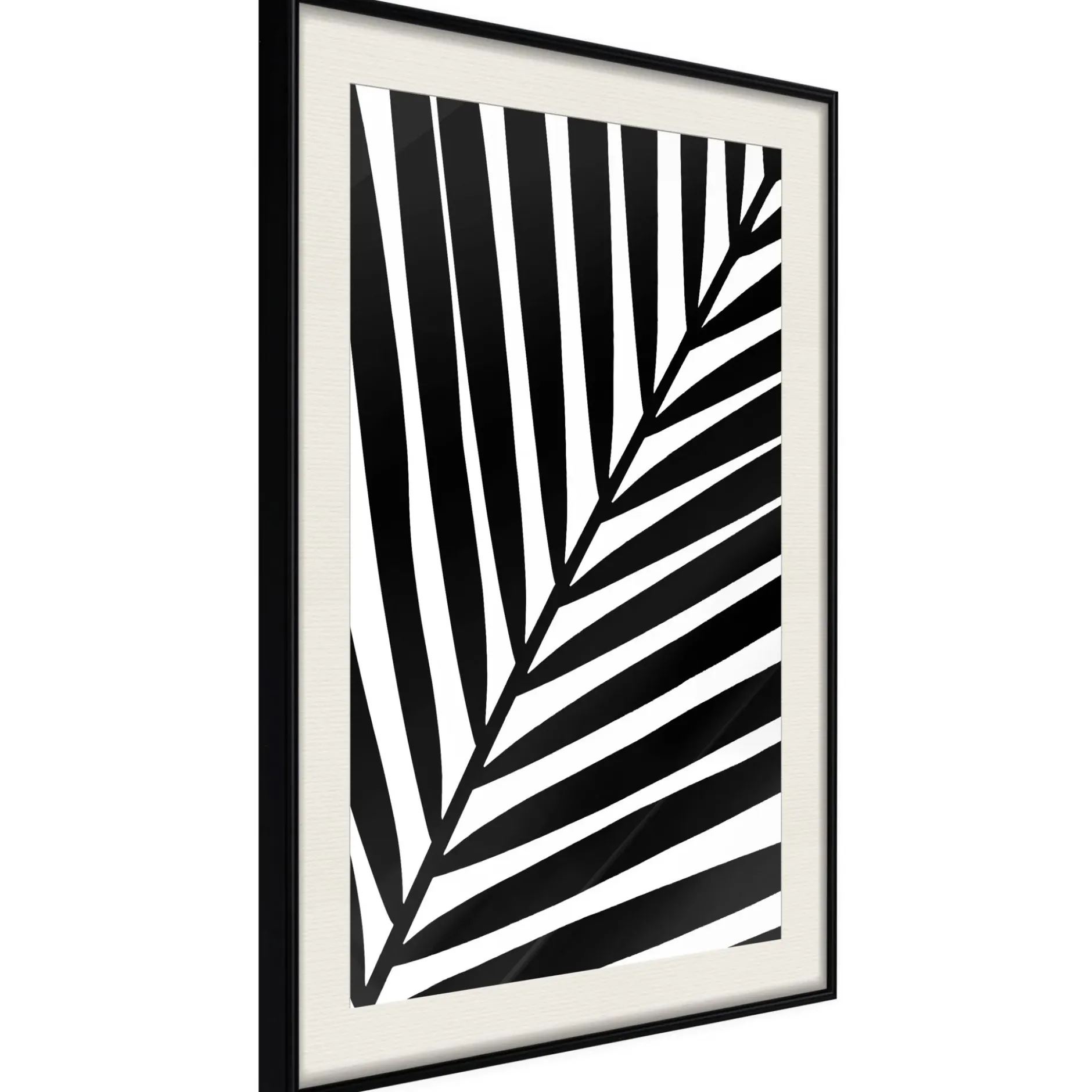 Poster 'Black Palm'