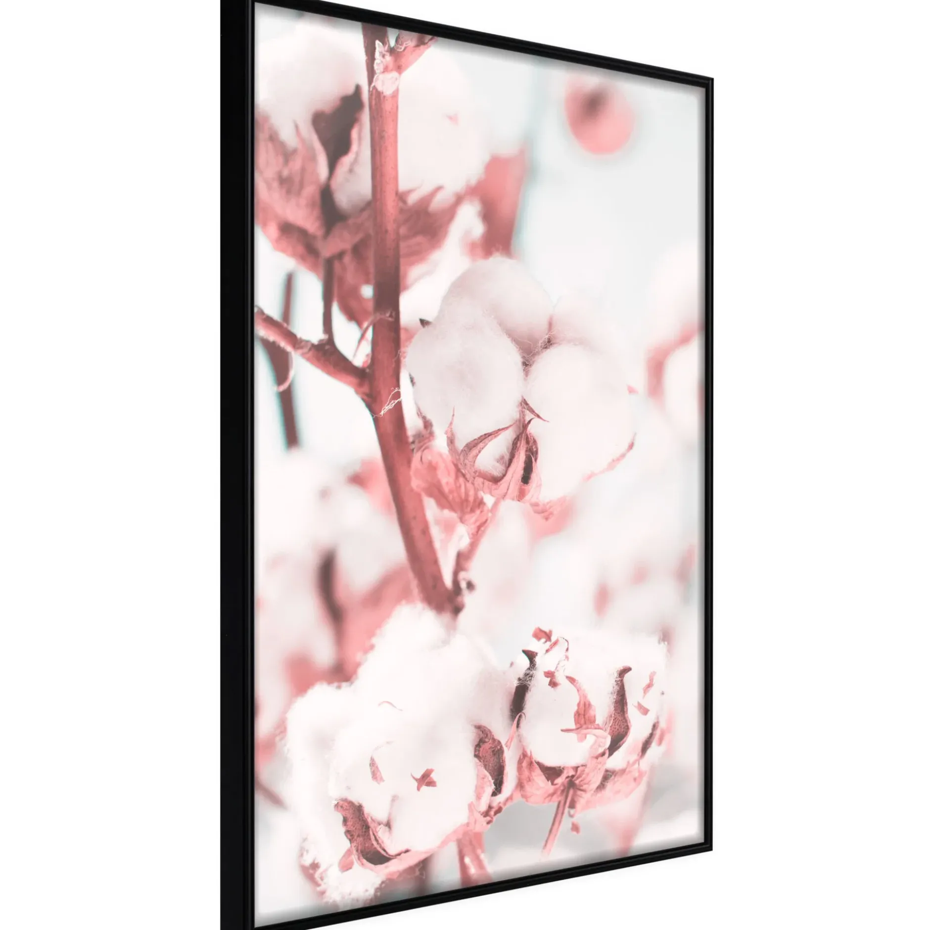 Poster 'Blooming Cotton'
