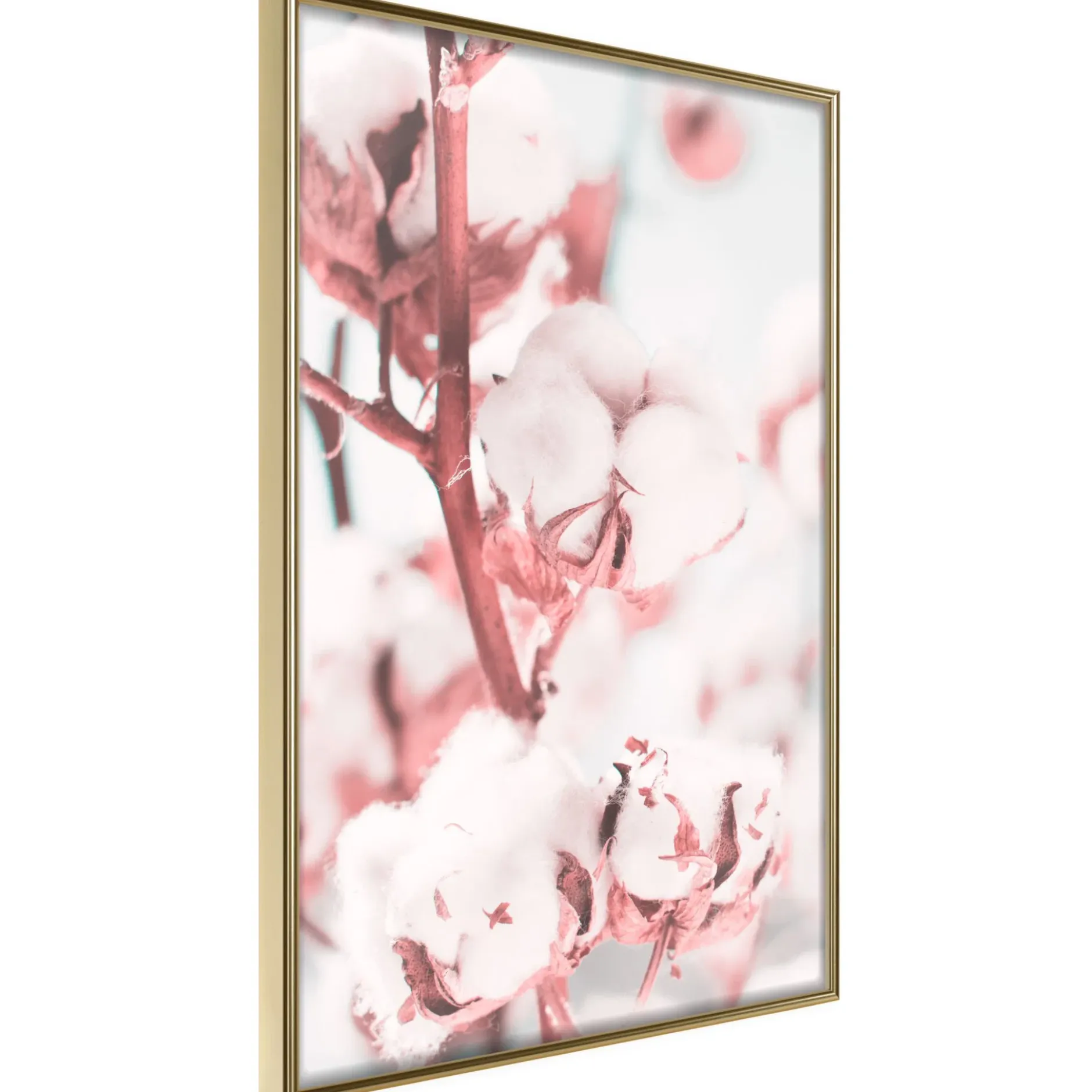 Poster 'Blooming Cotton'