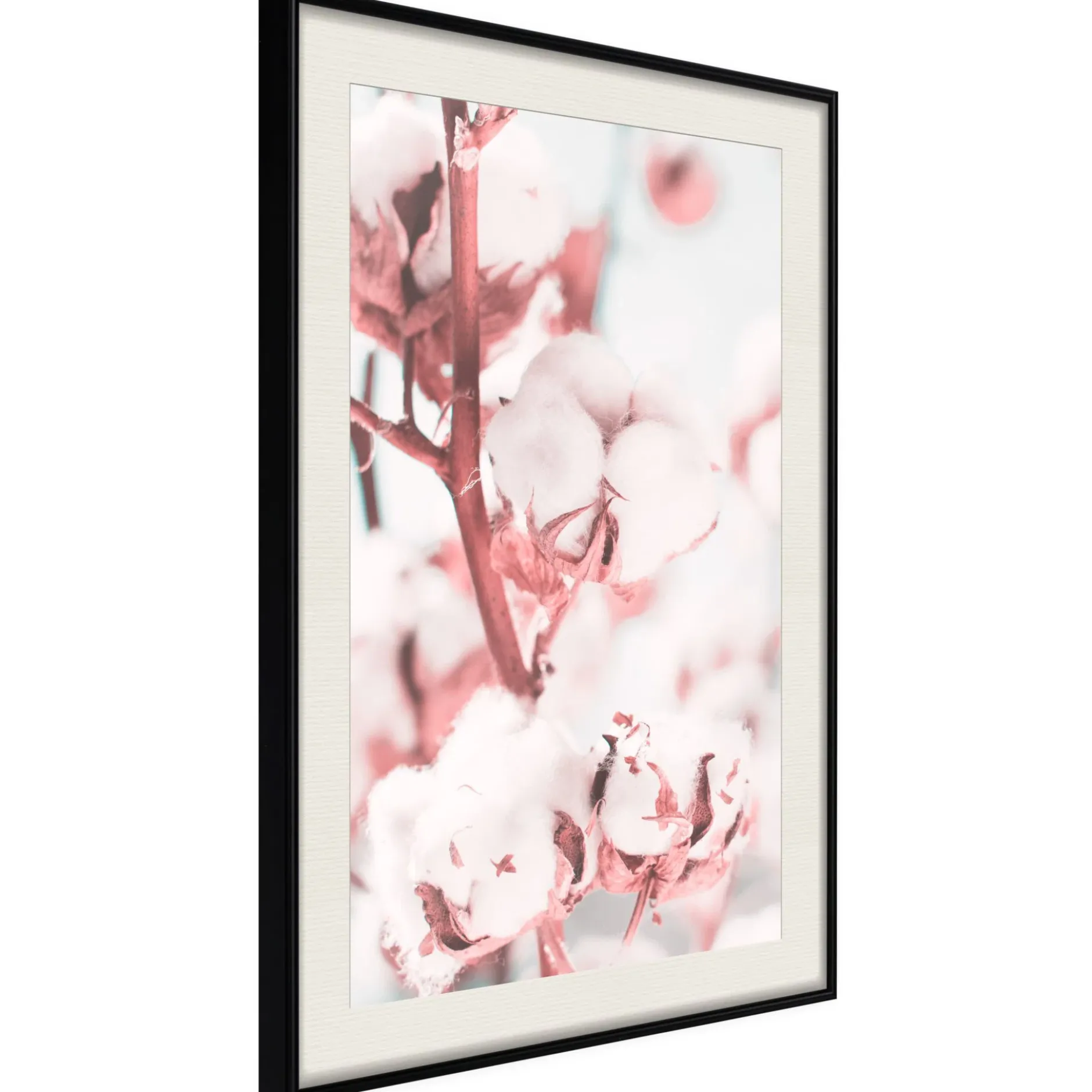 Poster 'Blooming Cotton'