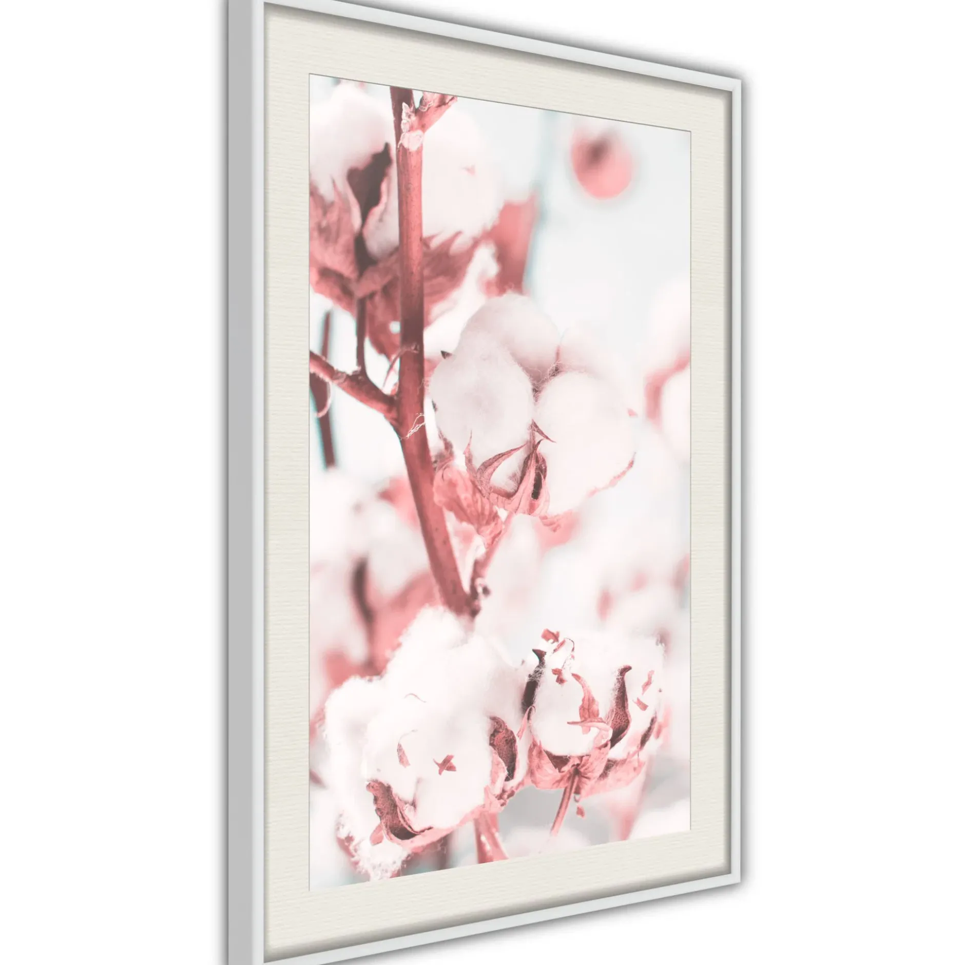 Poster 'Blooming Cotton'