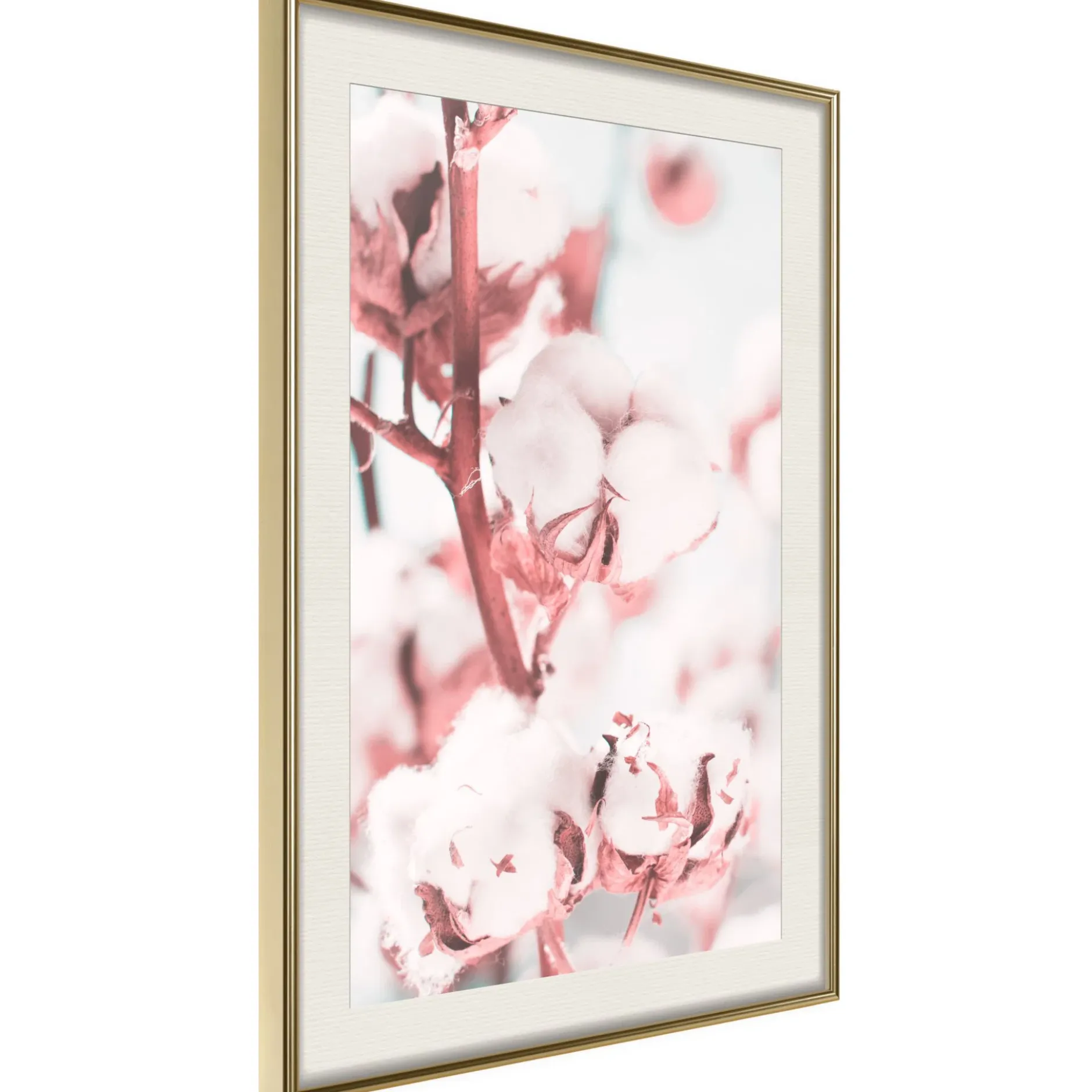 Poster 'Blooming Cotton'