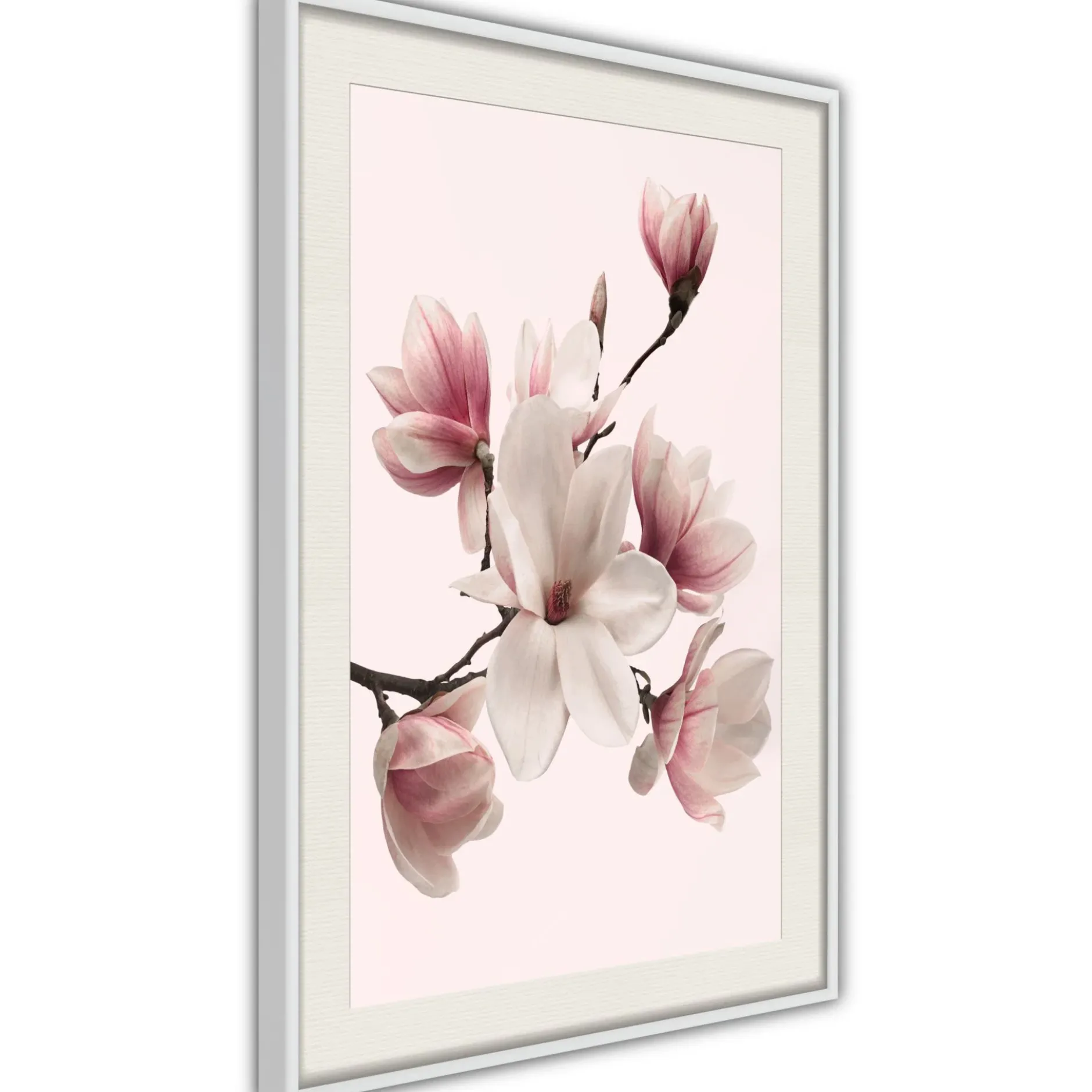 Poster 'Blooming Magnolias I'