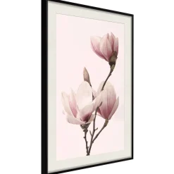 Poster 'Blooming Magnolias III'