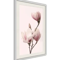 Poster 'Blooming Magnolias III'