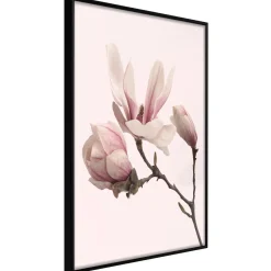 Poster 'Blooming Magnolias II'