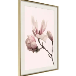Poster 'Blooming Magnolias II'
