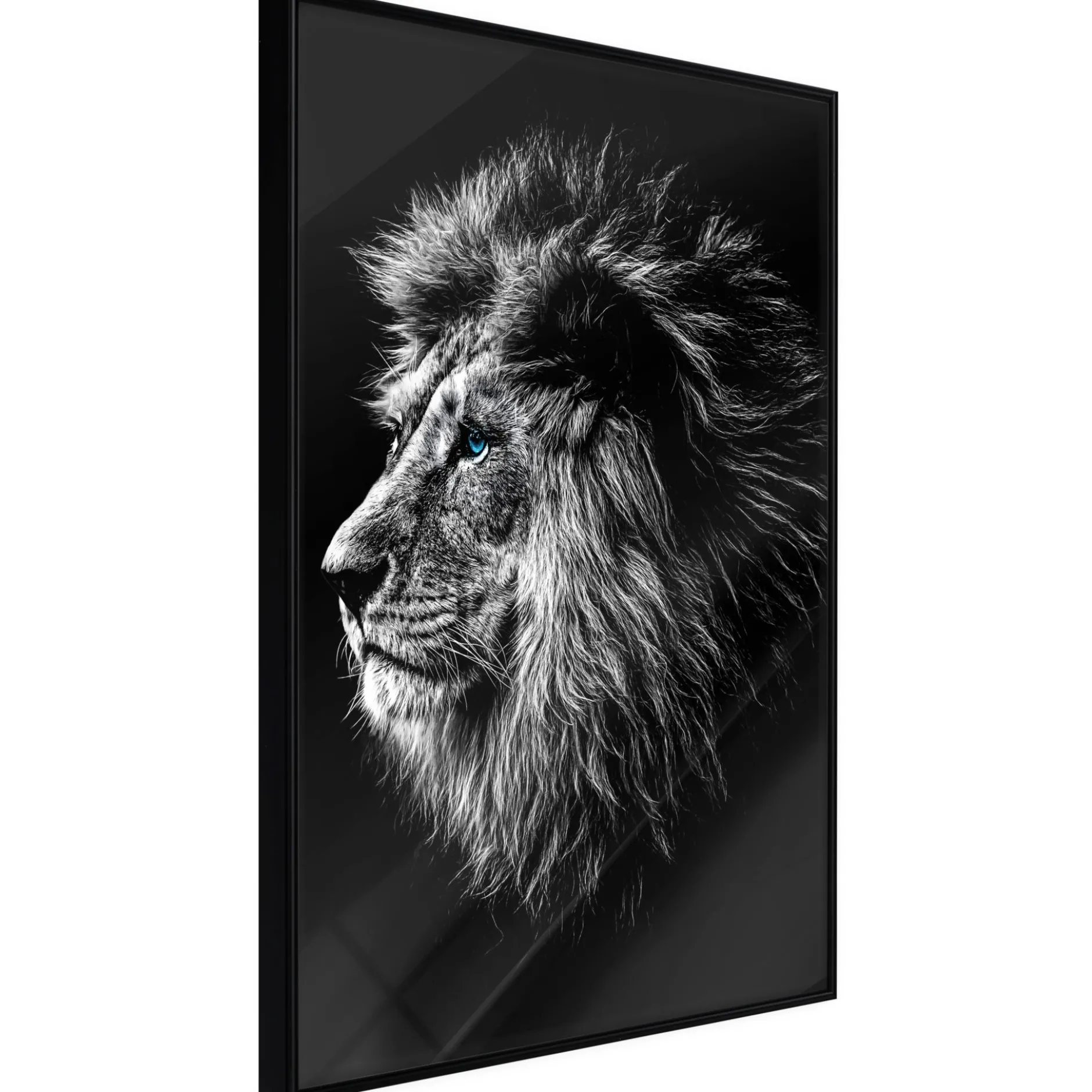 Poster 'Blue-eyed Lion'