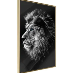 Poster 'Blue-eyed Lion'