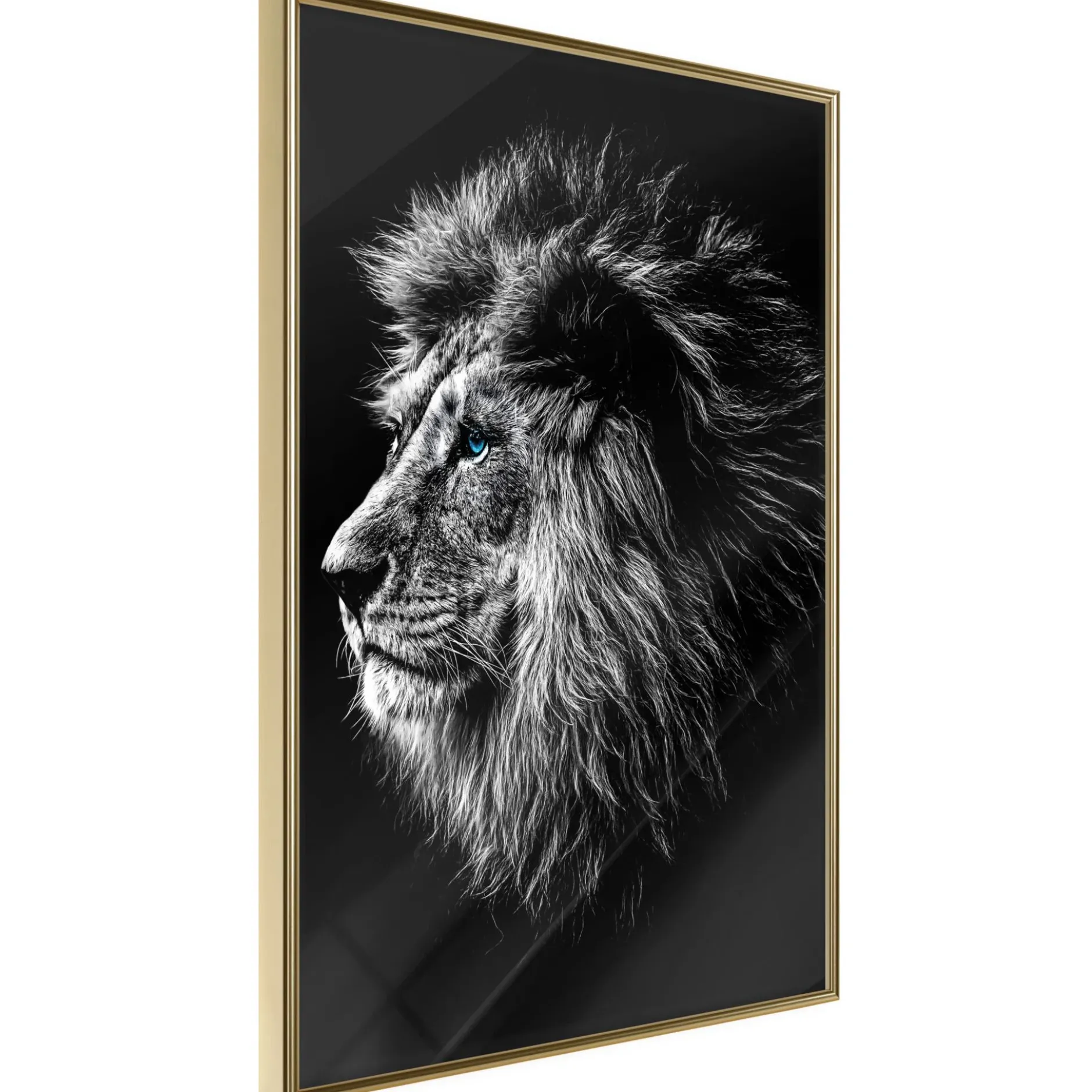 Poster 'Blue-eyed Lion'