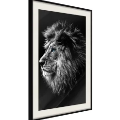 Poster 'Blue-eyed Lion'