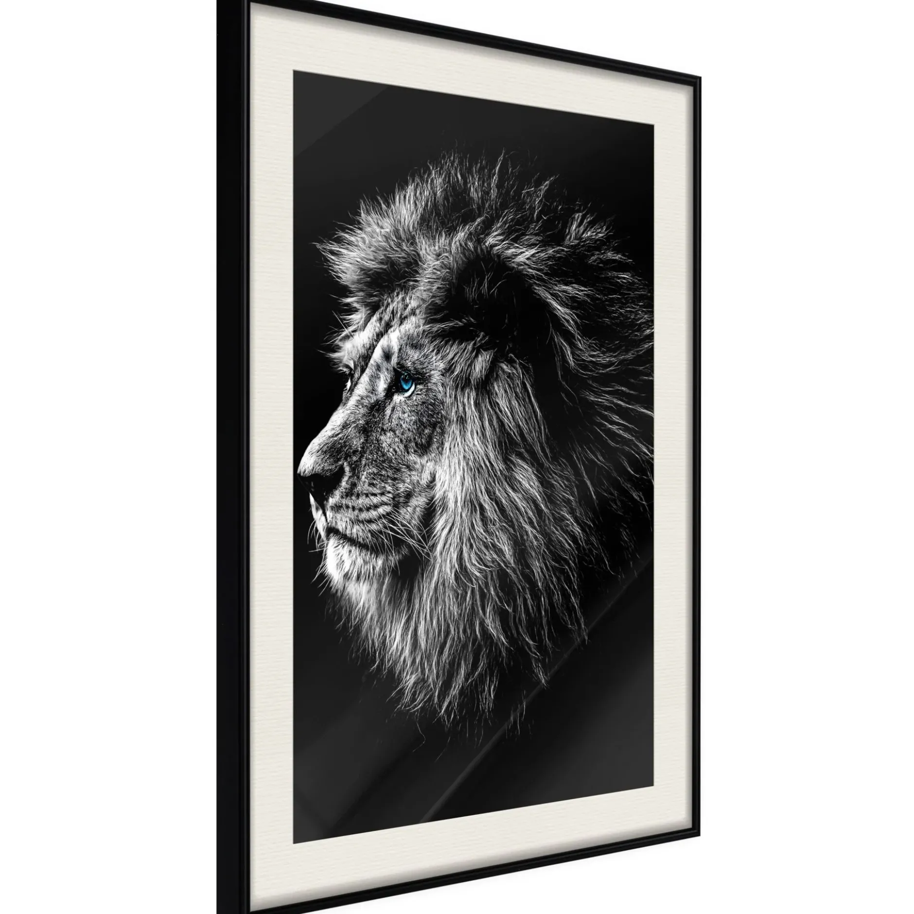 Poster 'Blue-eyed Lion'