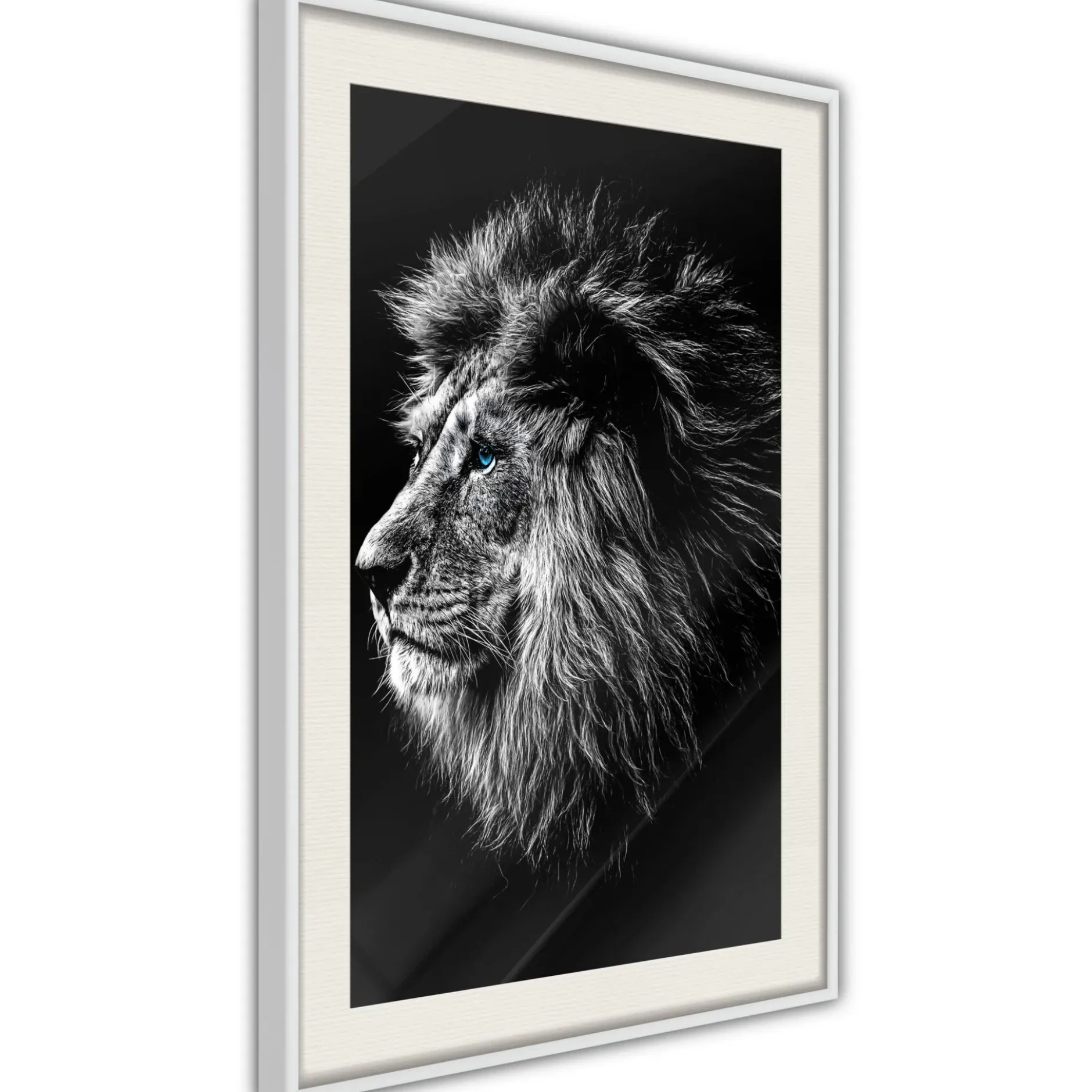 Poster 'Blue-eyed Lion'