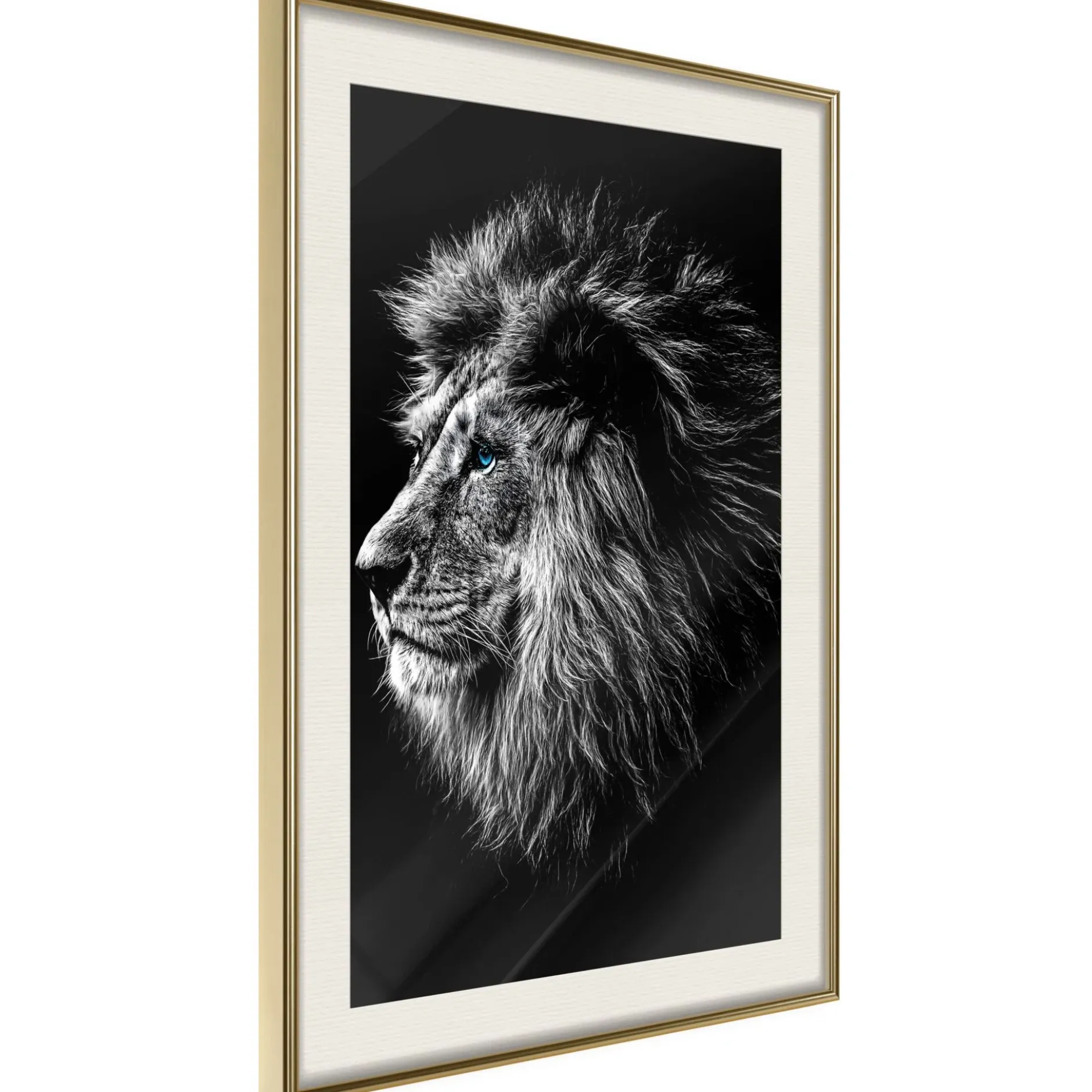 Poster 'Blue-eyed Lion'