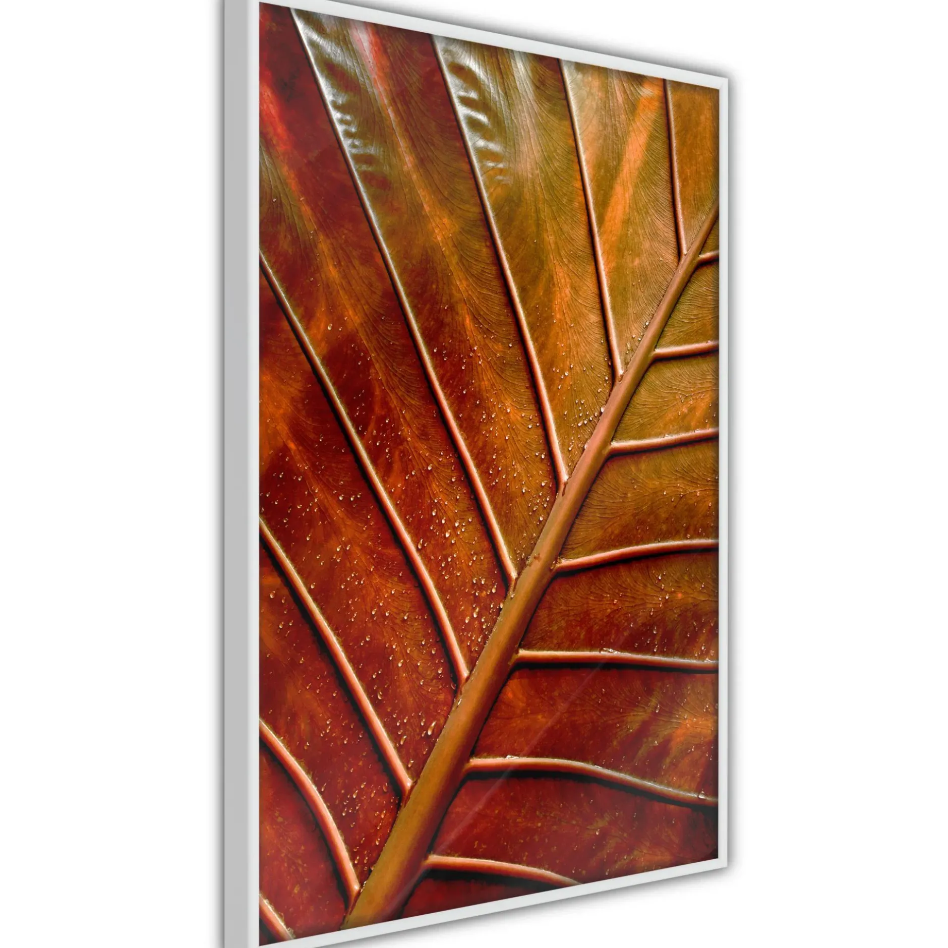 Poster 'Bronze Leaf'