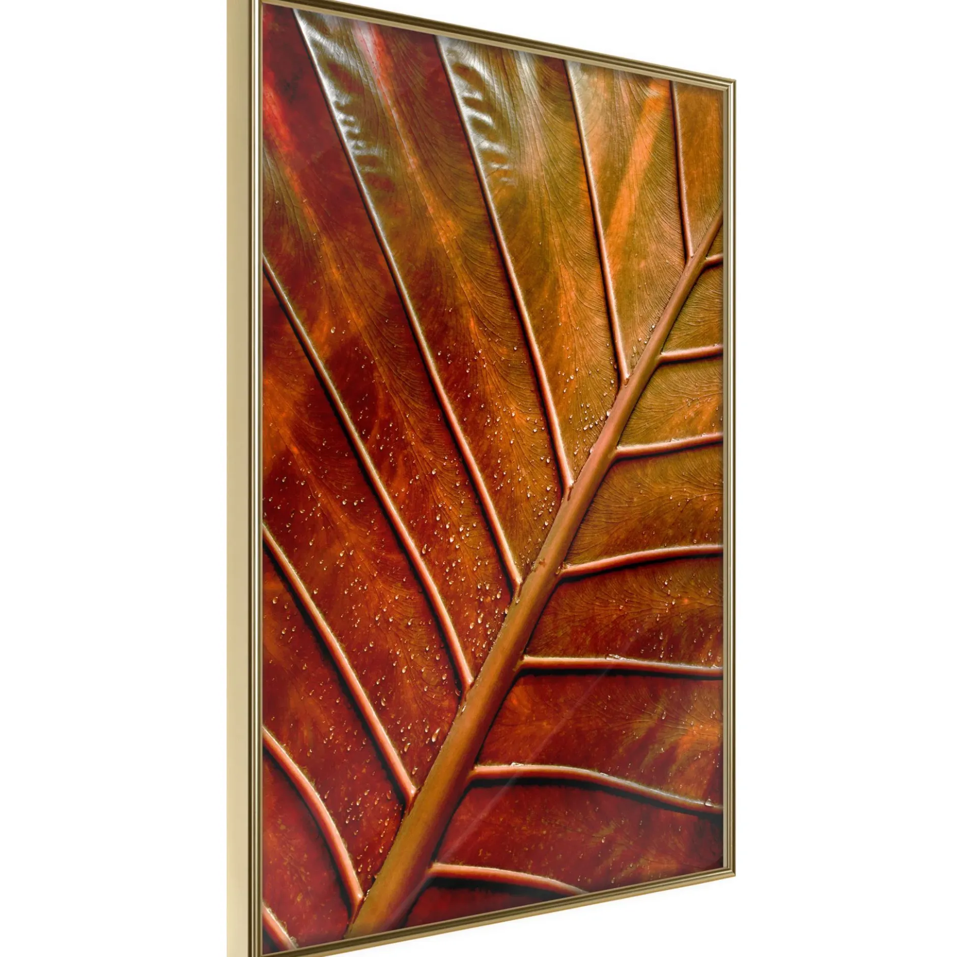 Poster 'Bronze Leaf'