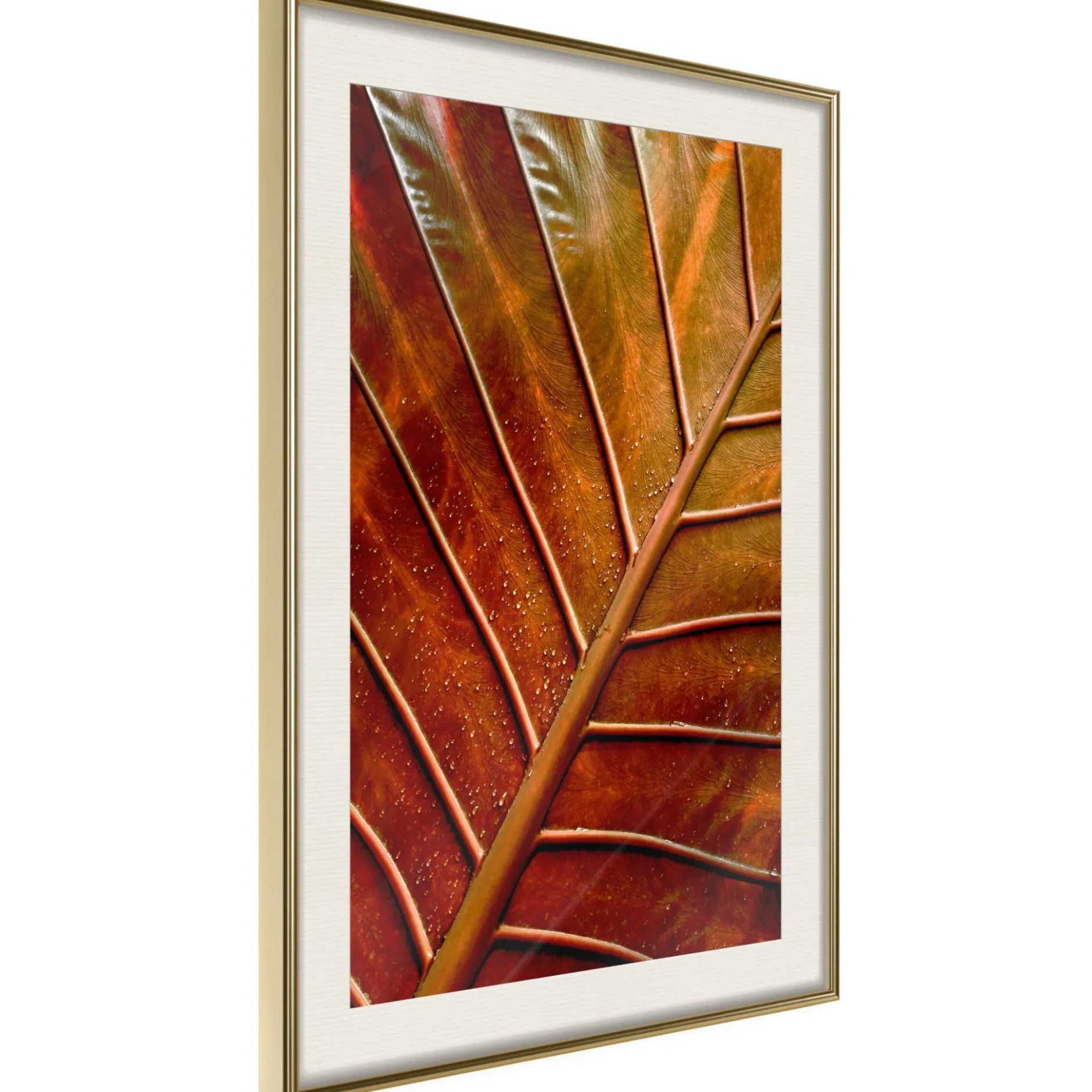 Poster 'Bronze Leaf'