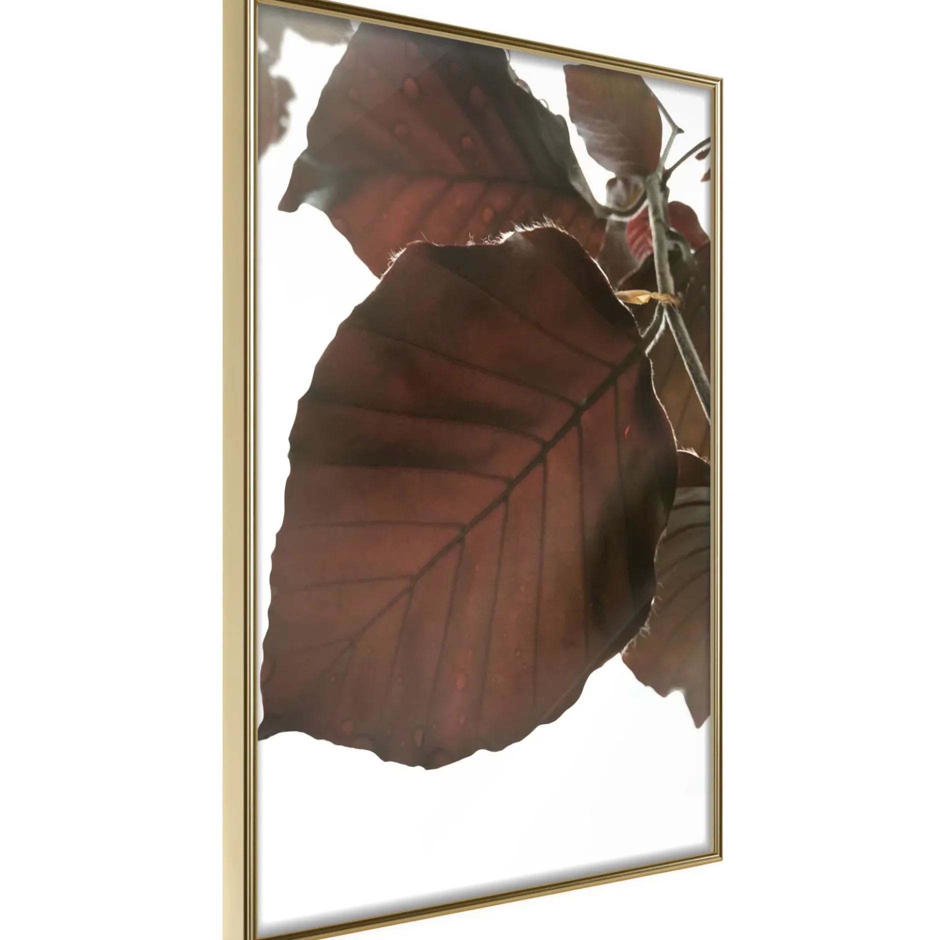 Poster 'Burgundy Tilia Leaf'