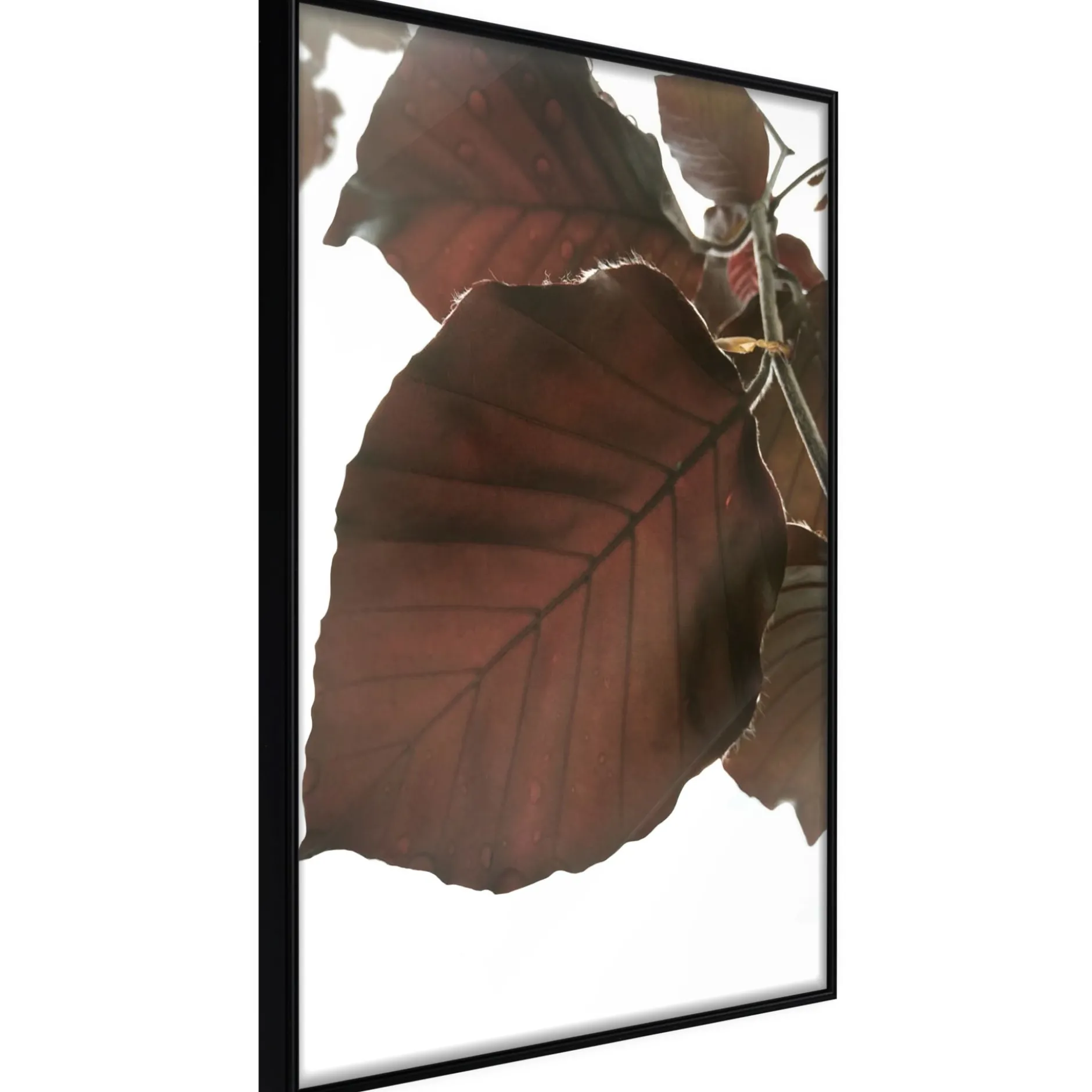 Poster 'Burgundy Tilia Leaf'