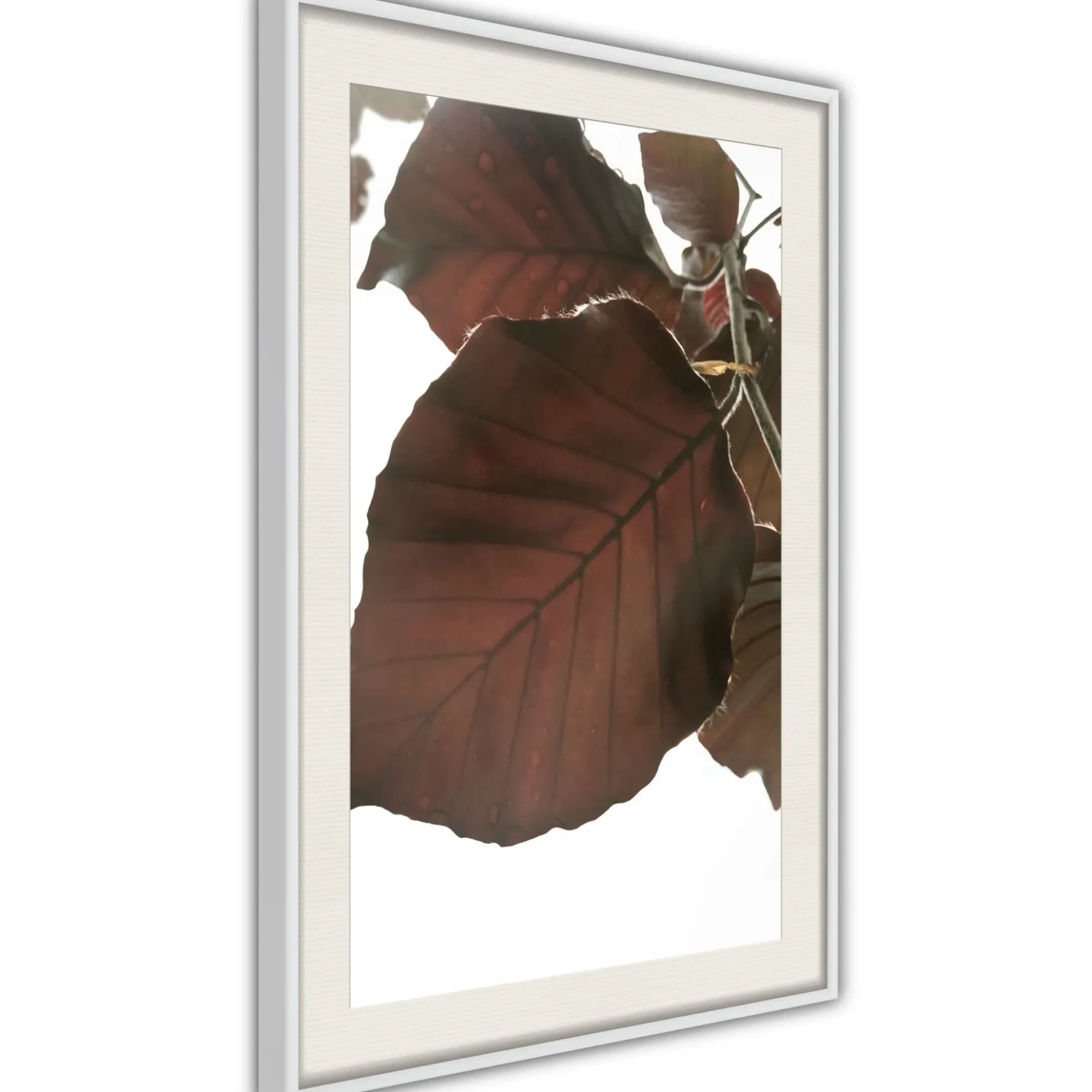 Poster 'Burgundy Tilia Leaf'