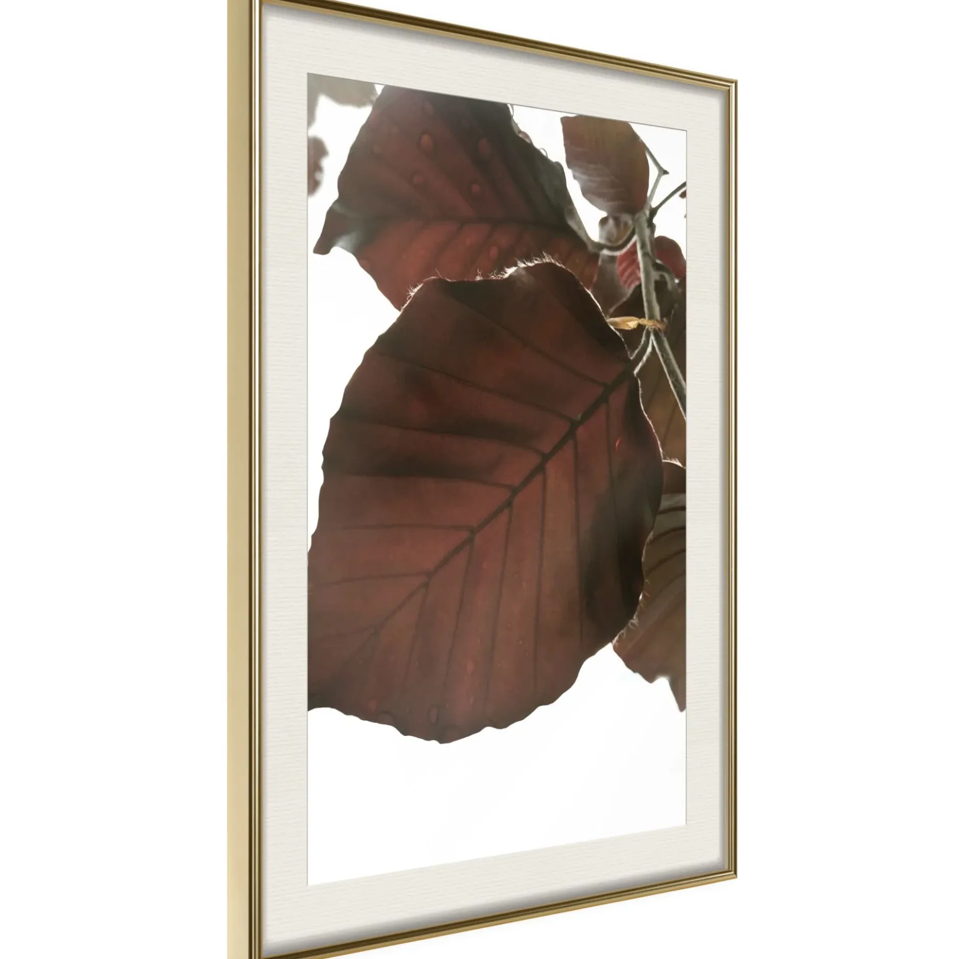 Poster 'Burgundy Tilia Leaf'