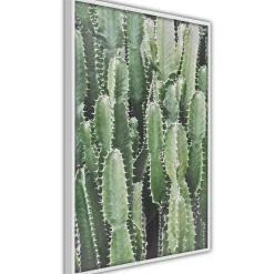 Poster 'Cactus Plantation'