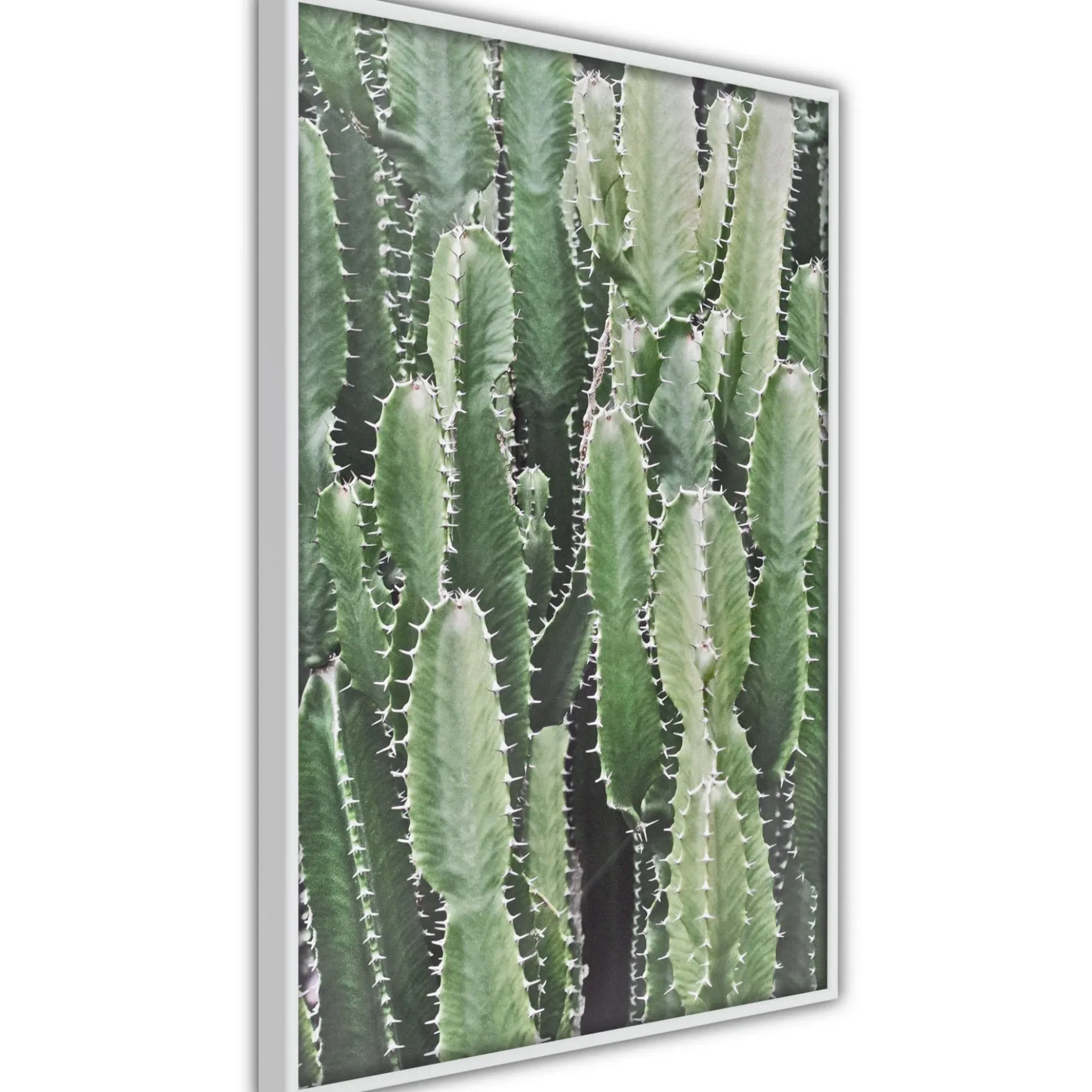 Poster 'Cactus Plantation'