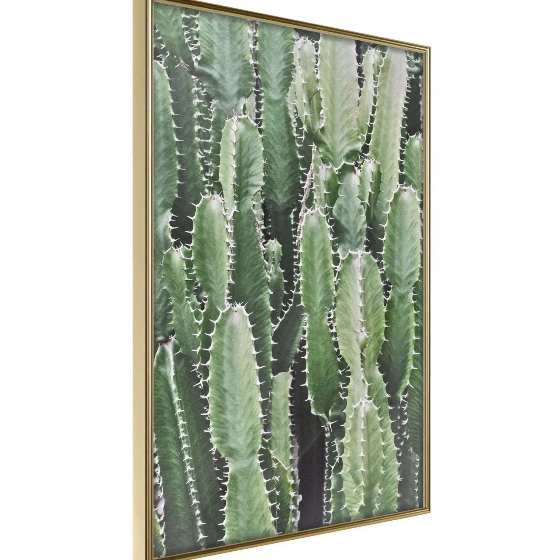 Poster 'Cactus Plantation'