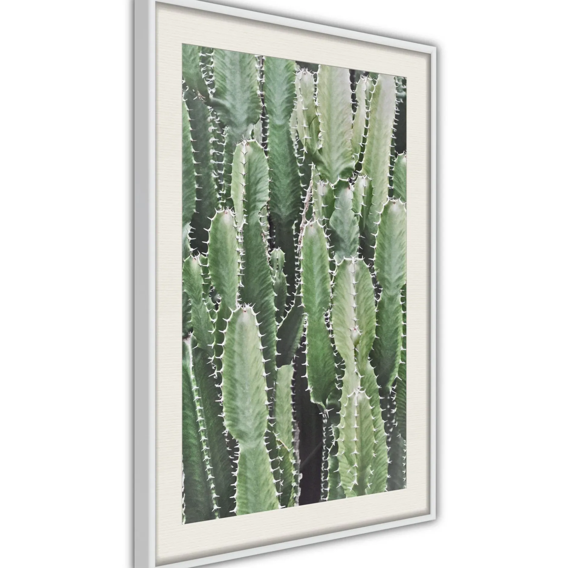 Poster 'Cactus Plantation'