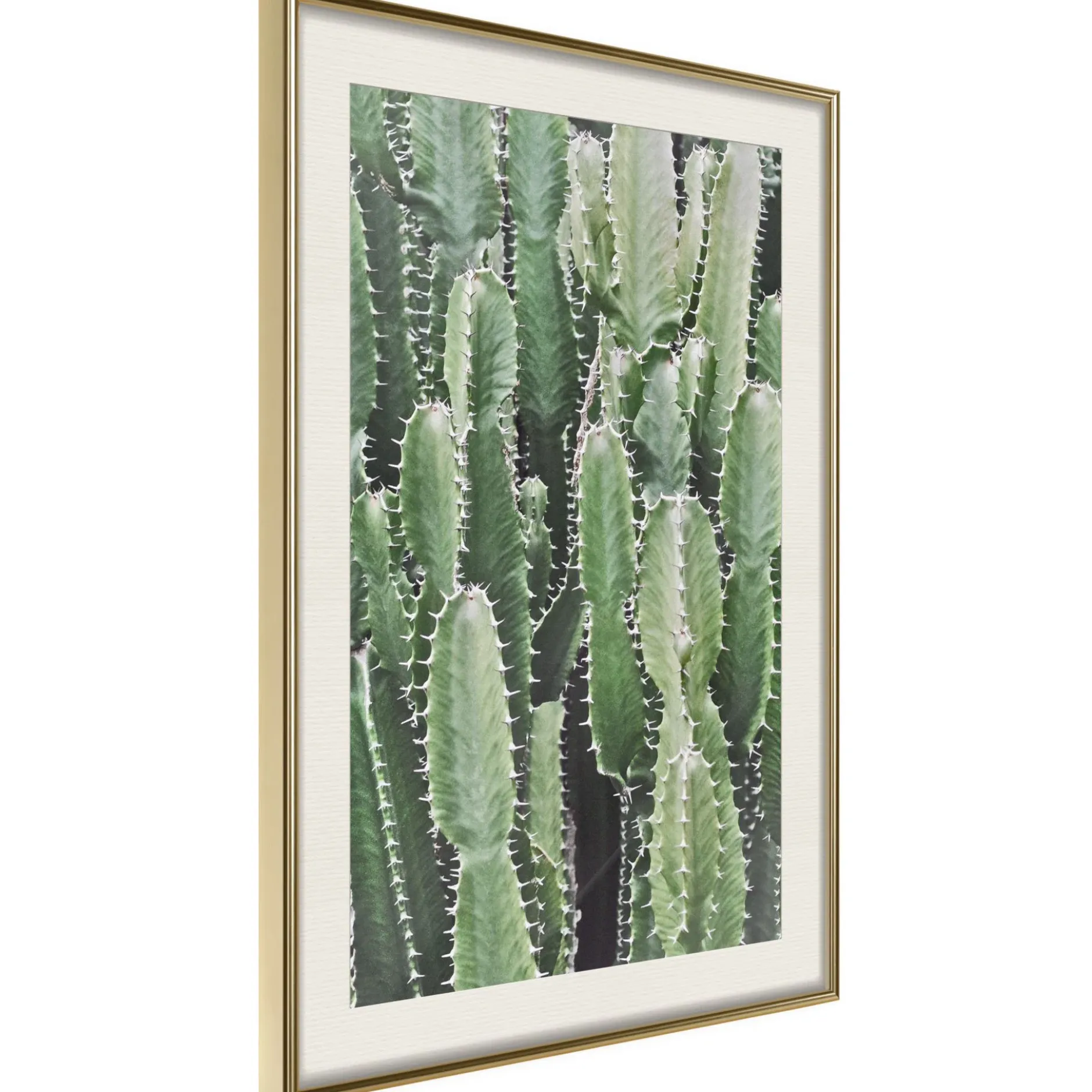 Poster 'Cactus Plantation'