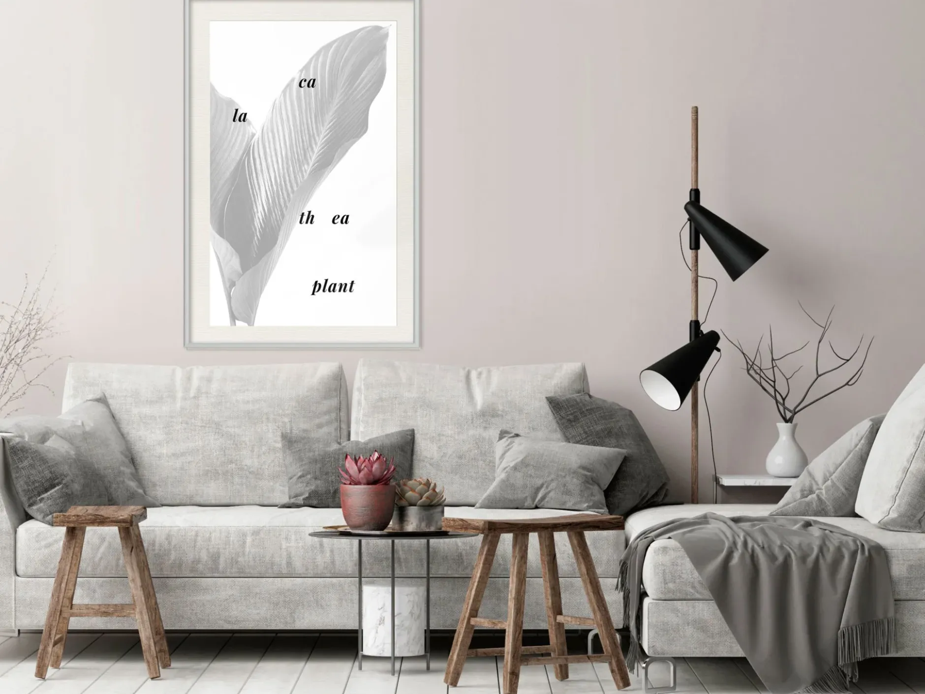 Poster 'Calathea Leaves'