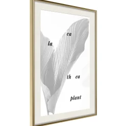 Poster 'Calathea Leaves'