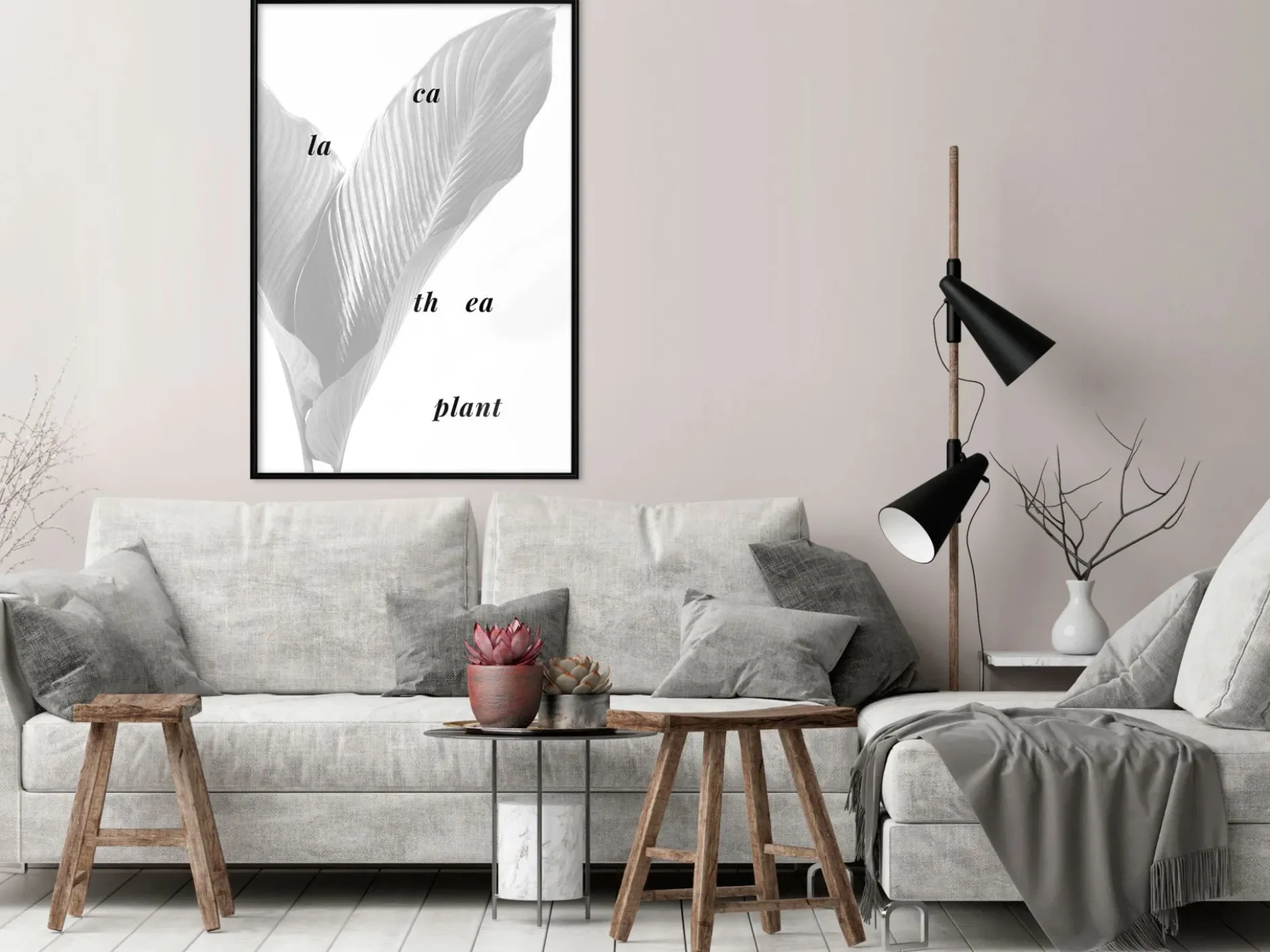 Poster 'Calathea Leaves'