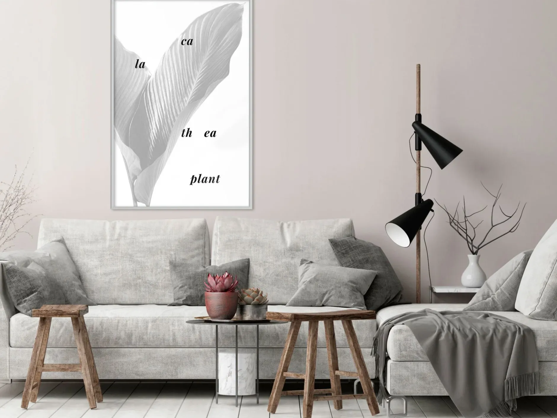 Poster 'Calathea Leaves'
