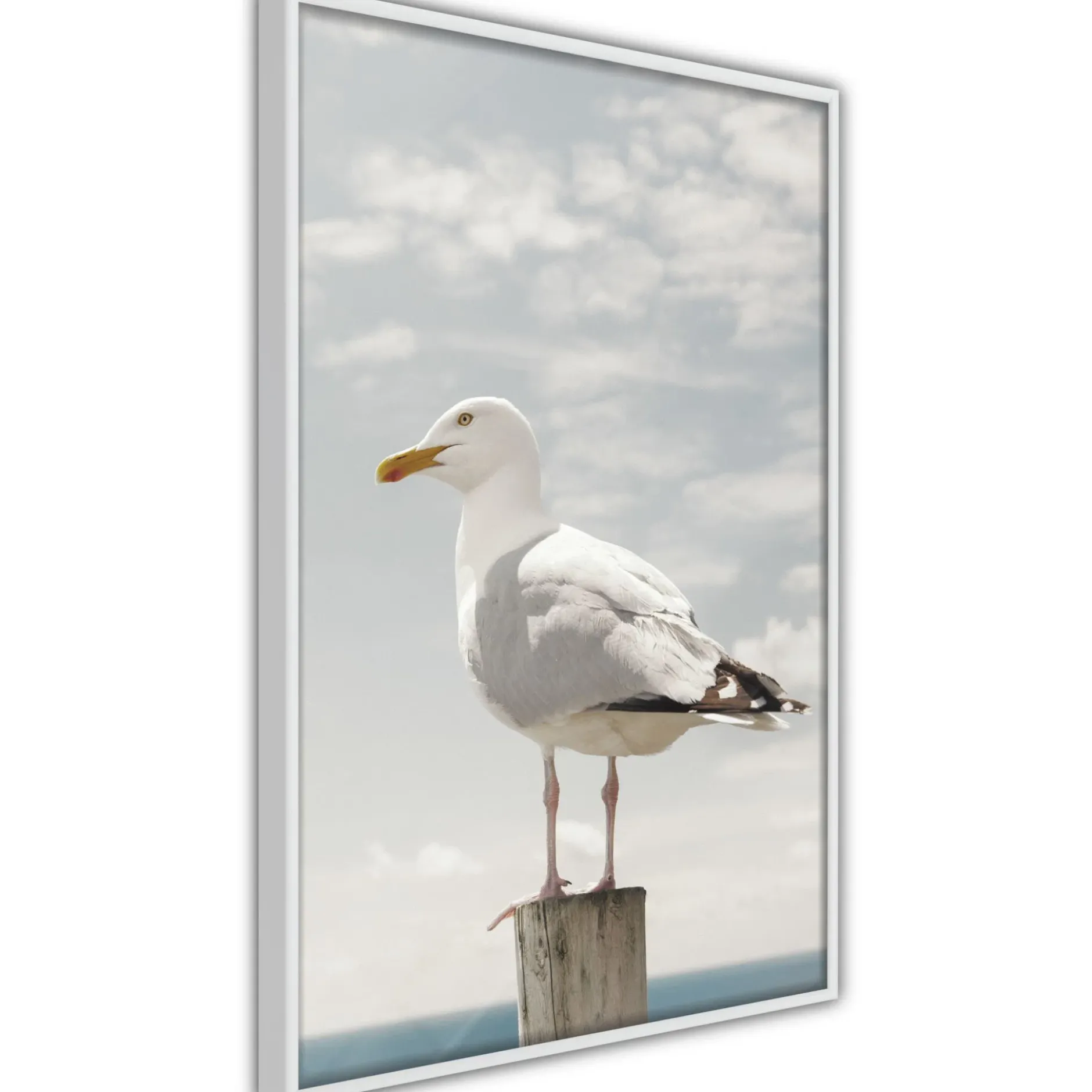 Poster 'Curious Seagull'