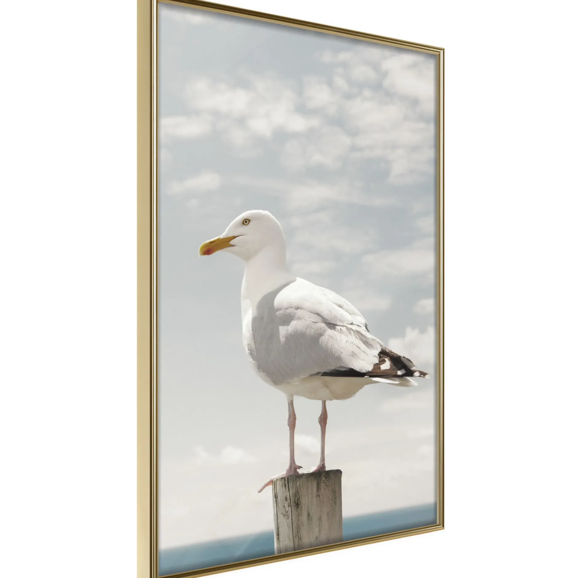 Poster 'Curious Seagull'