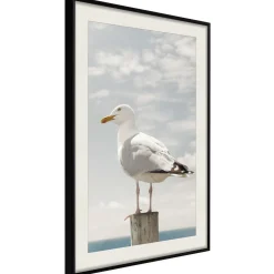 Poster 'Curious Seagull'
