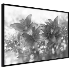 Poster 'Dark Lillies'